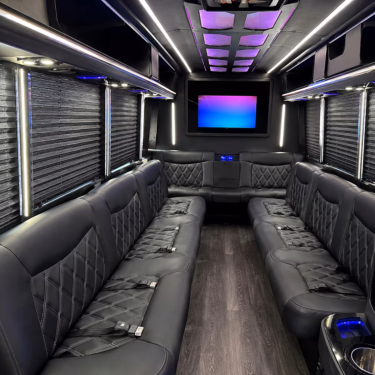 santee party bus interior